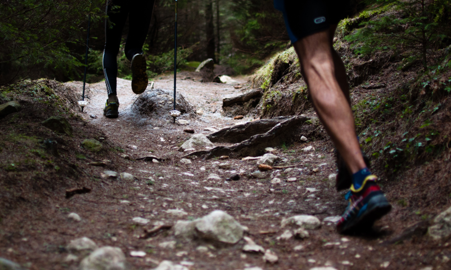 Senders de Can Costa - Trail